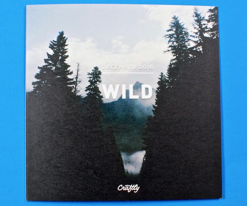 Craftly Wild box review