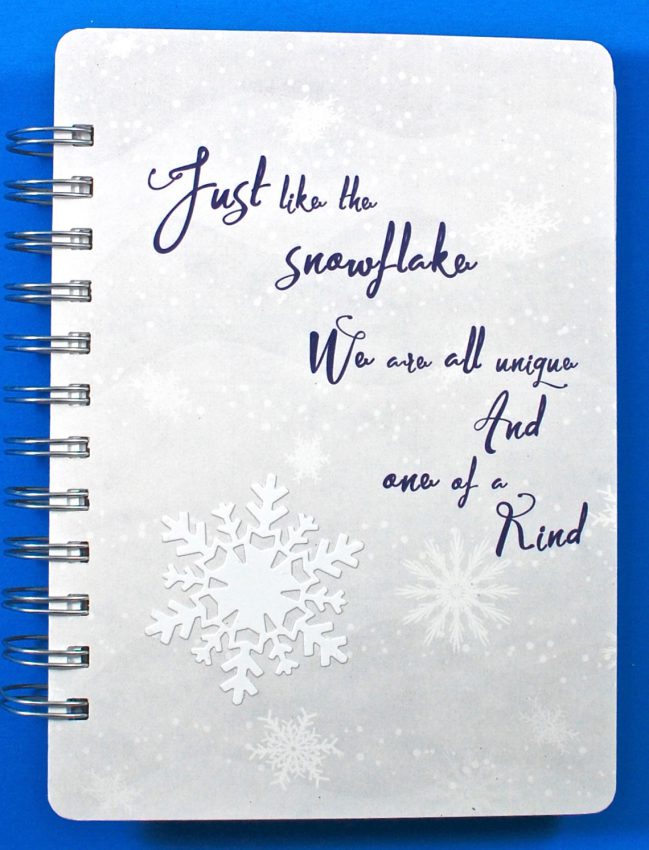 Winter journal