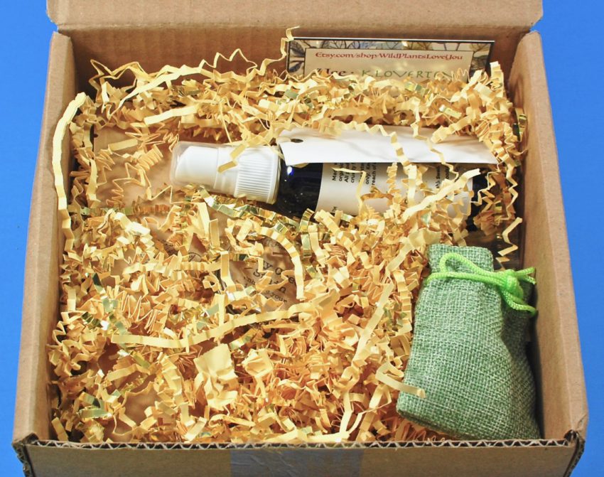Kloverbox review