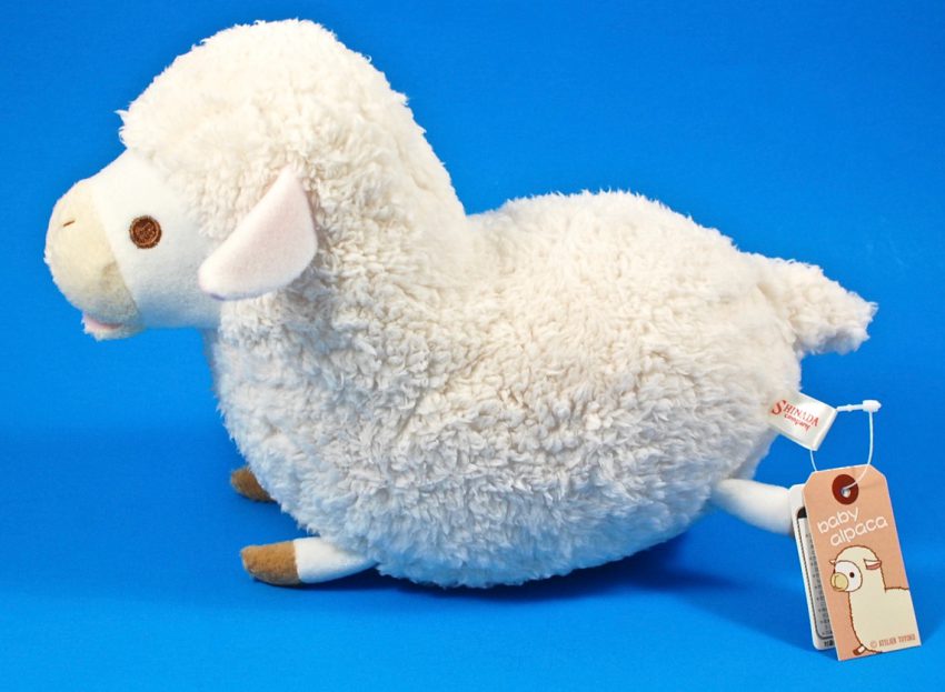shinada alpaca