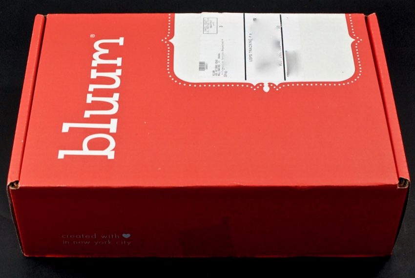 bluum box review
