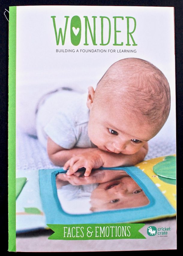 Wonder Magazine Cricket Crate
