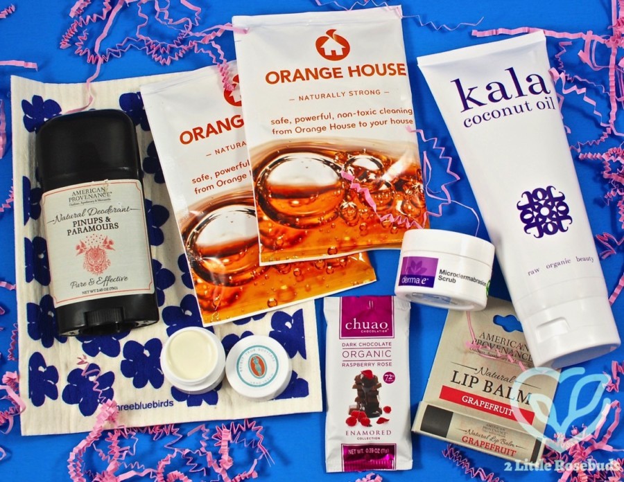 January 2017 Ecocentric Mom review