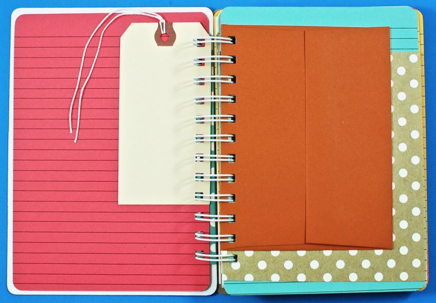 Holly journals