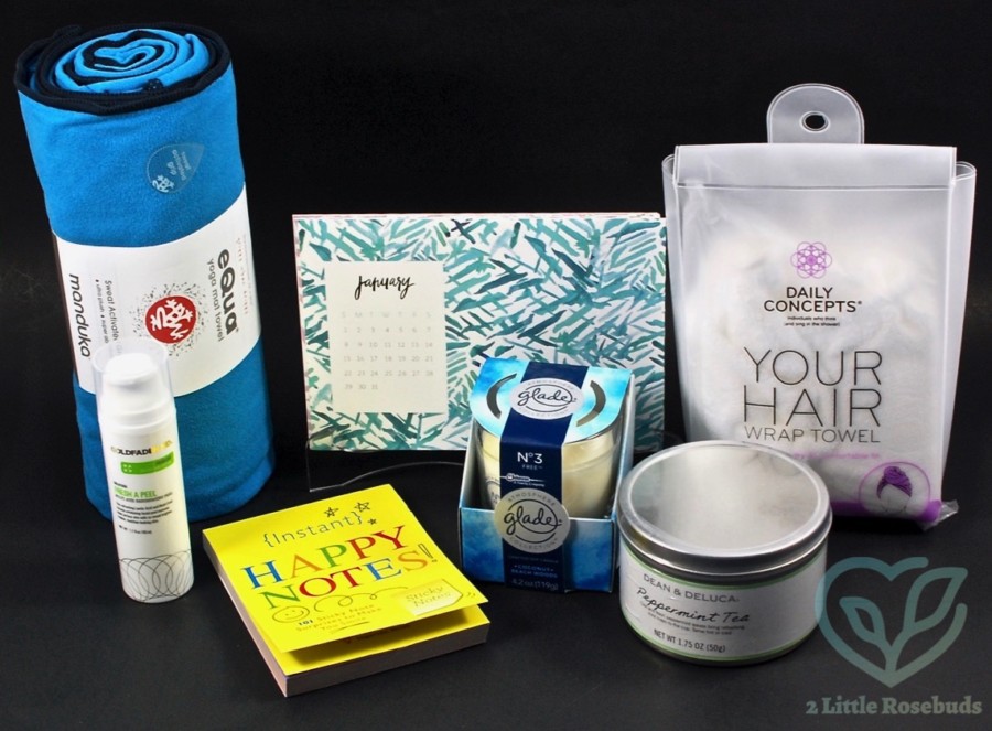 January 2017 POPSUGAR Must Have review