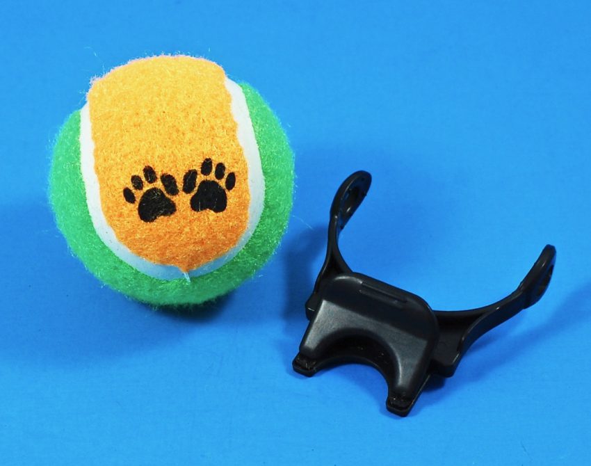 pet selfie ball