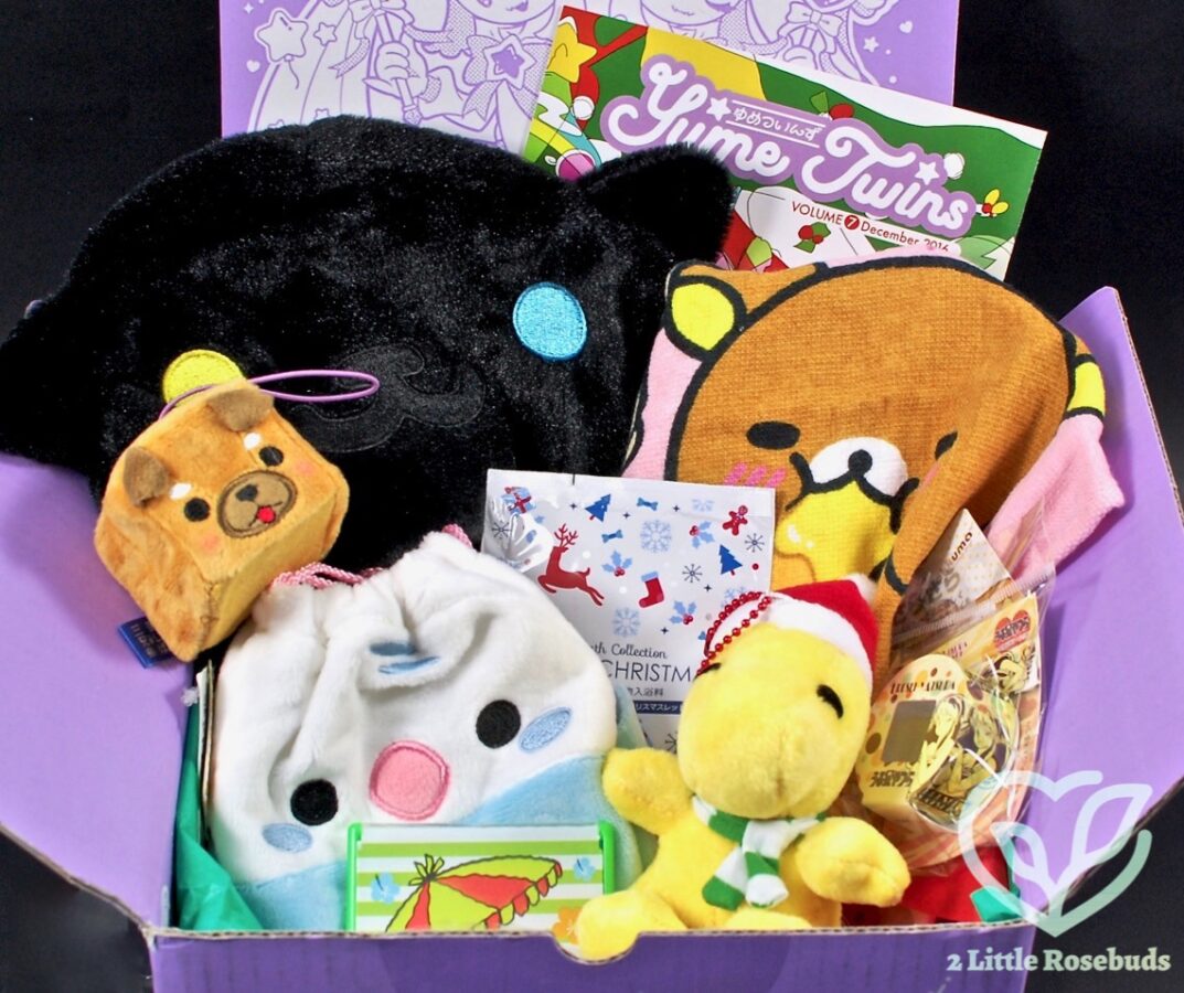 December 2016 YumeTwins review