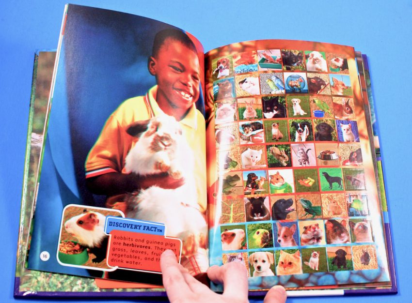 3d pets book