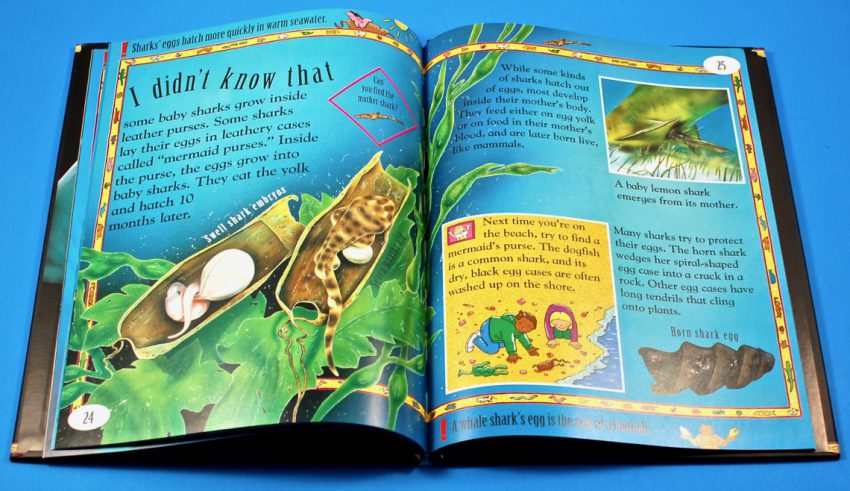 sharks facts book