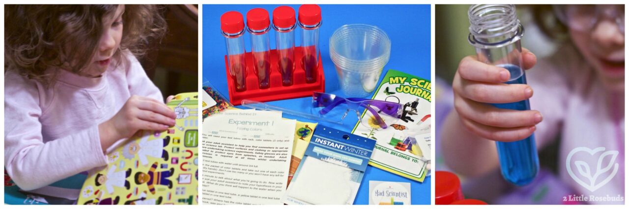 January 2017 Bramble Box review