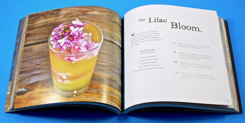 Shake cocktail book