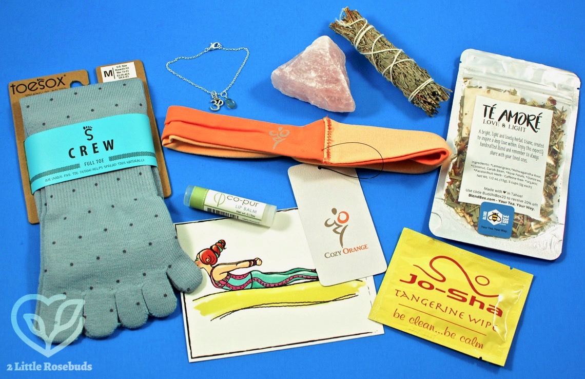 February 2017 Buddhibox review