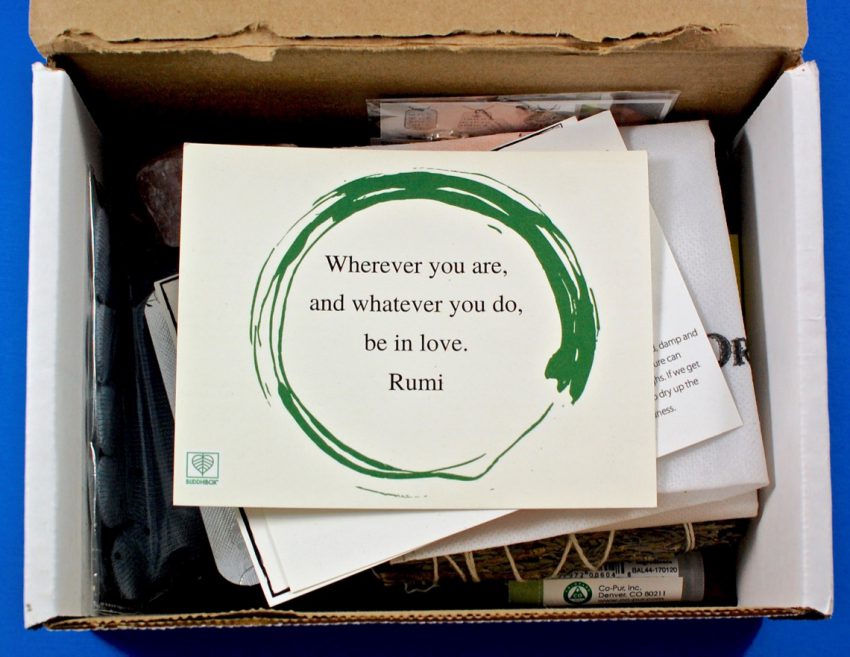 BuddhiBox review