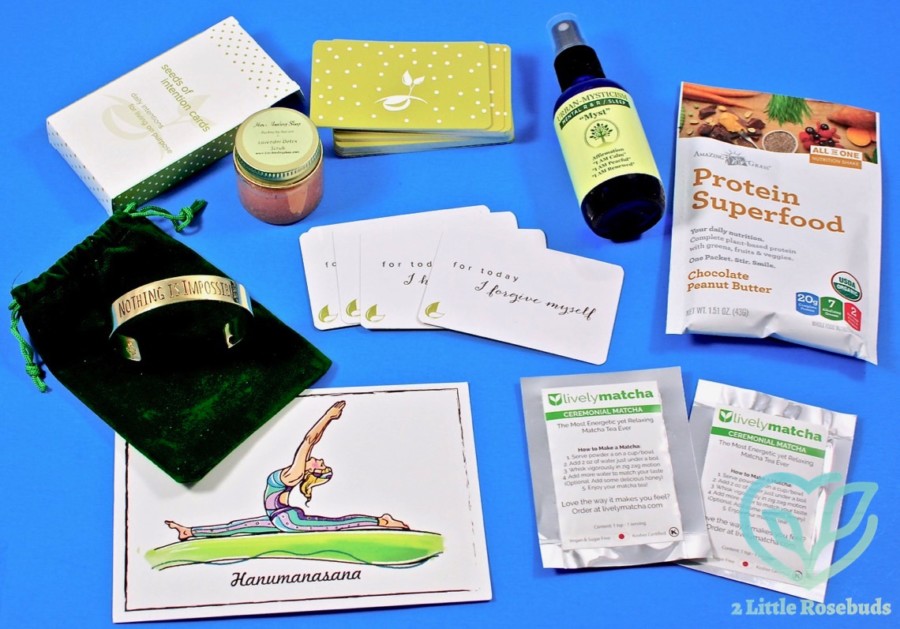 January 2017 BuddhiBox review