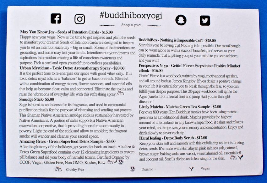 Buddhi Box review