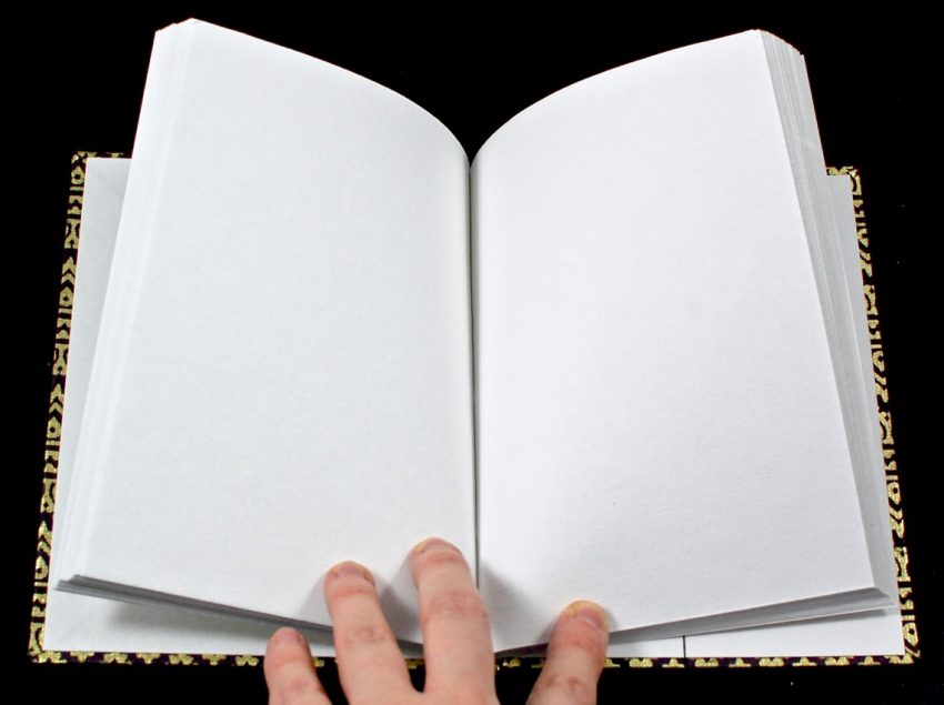 Dream Big journal