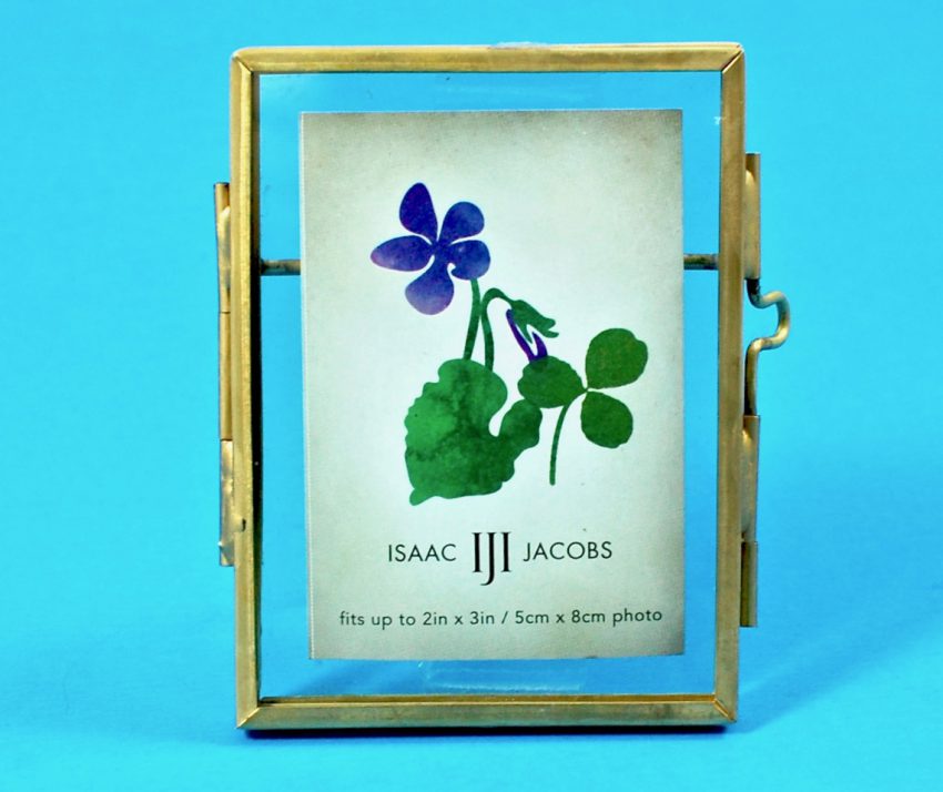 Isaac Jacobs frame