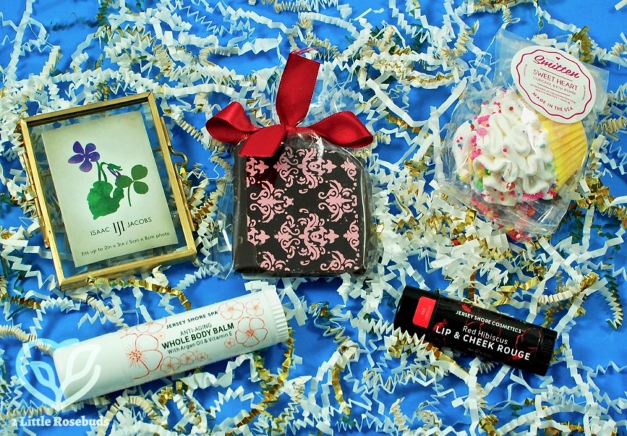 February 2017 Mommy Mailbox review