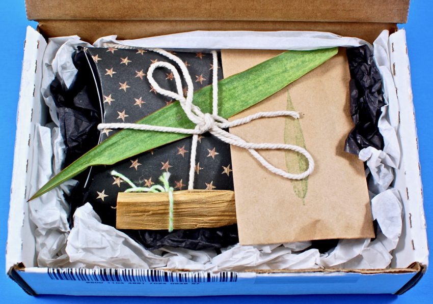 Pop Shop America jewelry box review