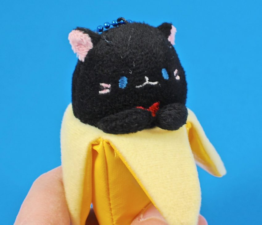 banyana cat