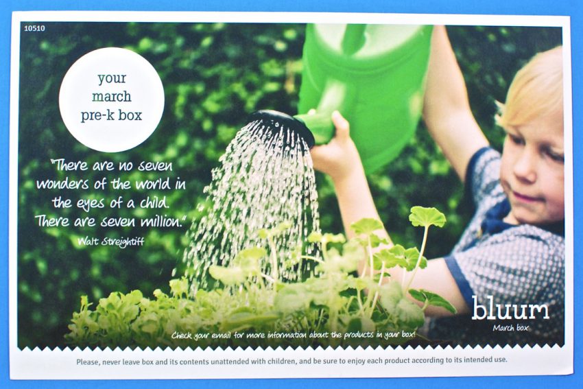 Bluum preschool box