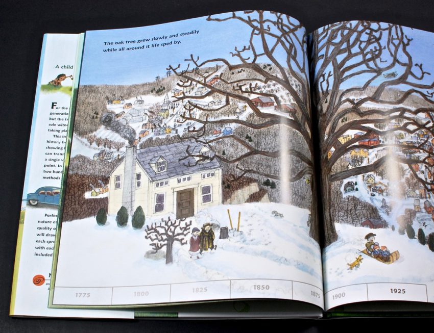 As an Oak Tree Grows book