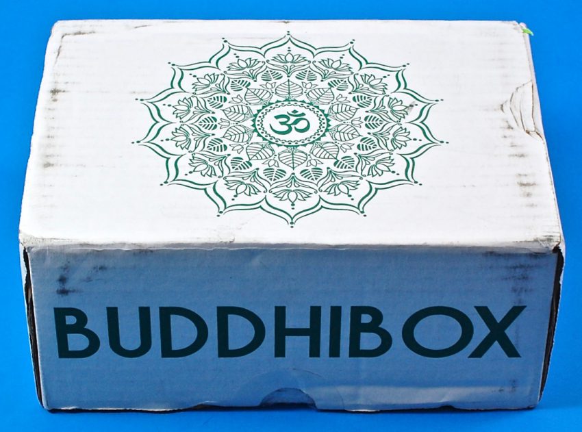 Buddhibox review