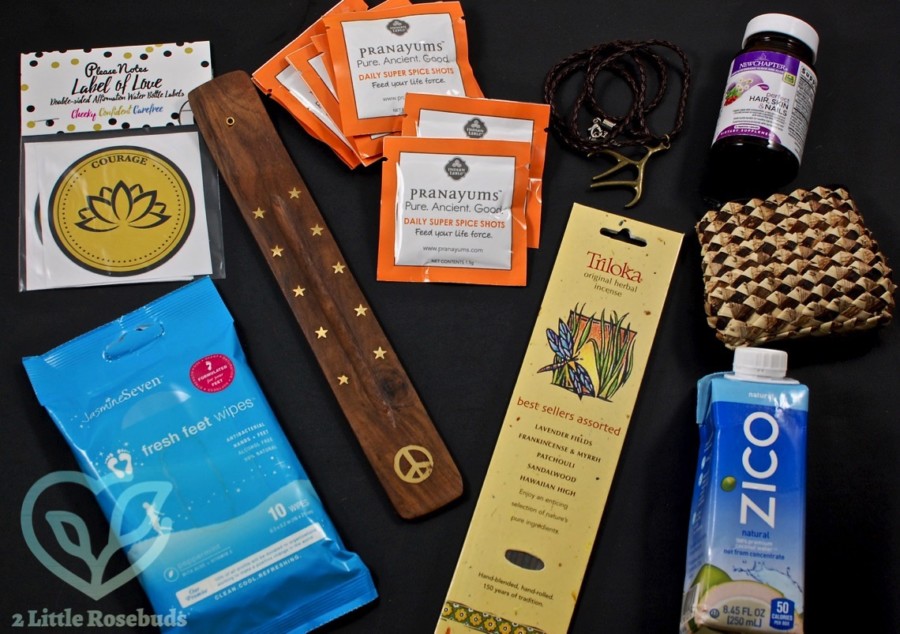 March 2017 Buddhibox review