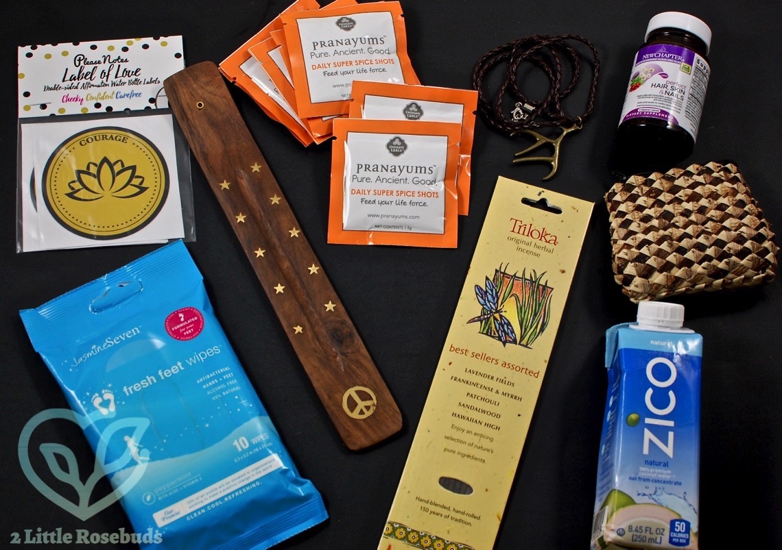 March 2017 Buddhibox review