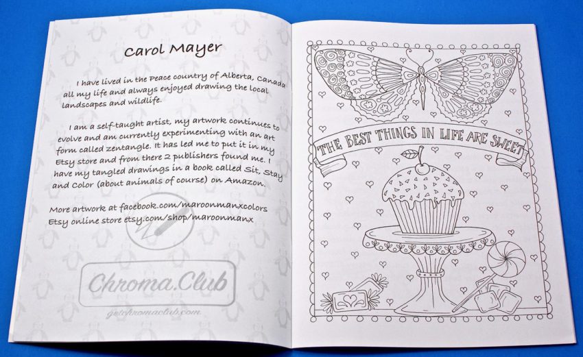 coloring subscription 