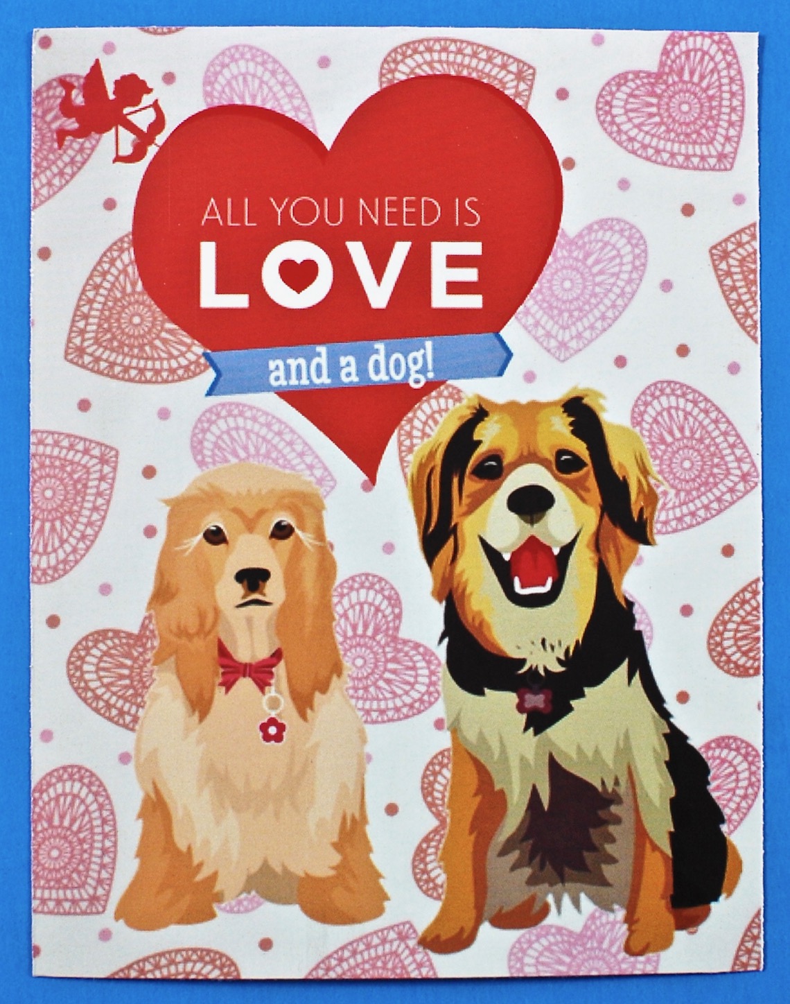 Wigglebutt box coupon