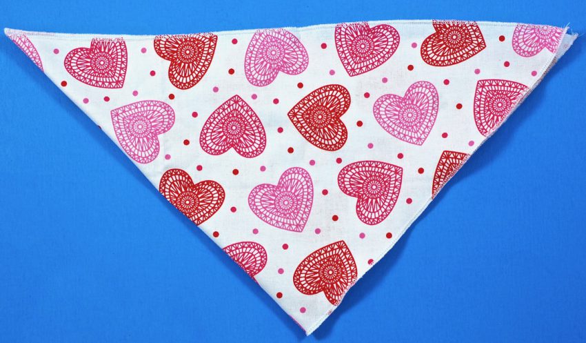 Wigglebutt Box kerchief