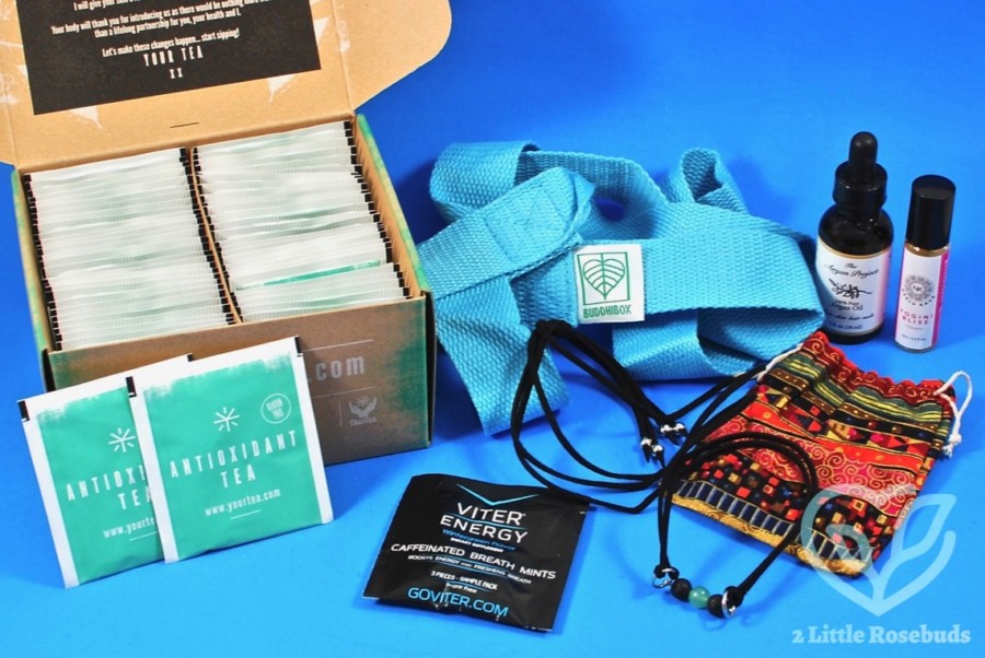 April 2017 BuddhiBox review