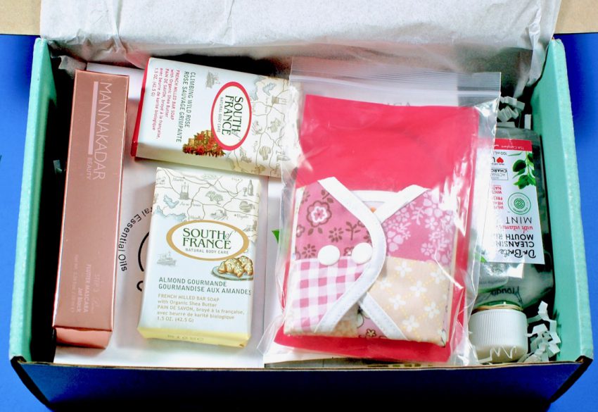 Ecocentric Mom review