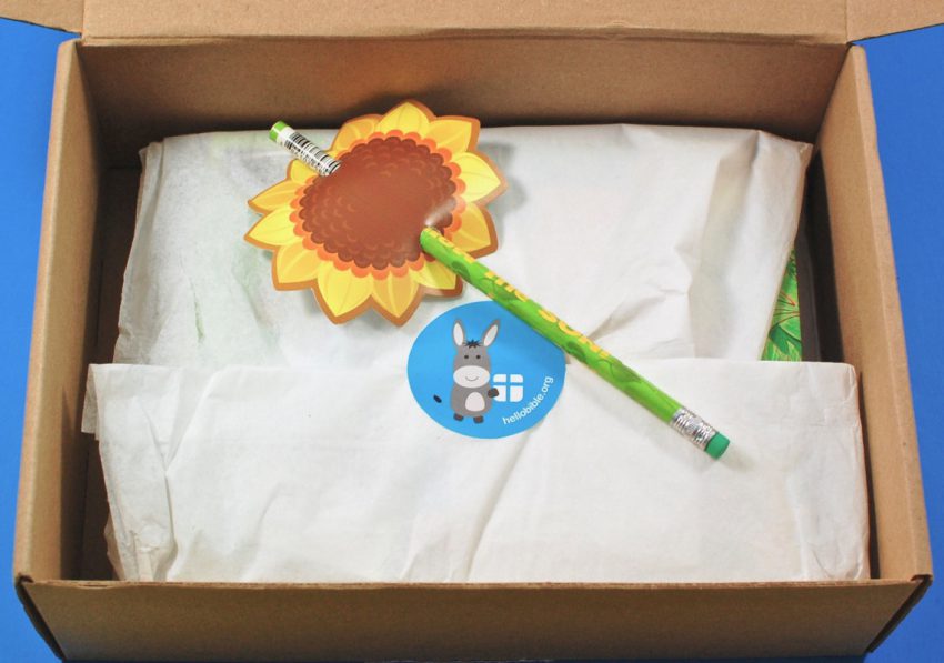 Hello Bible box review