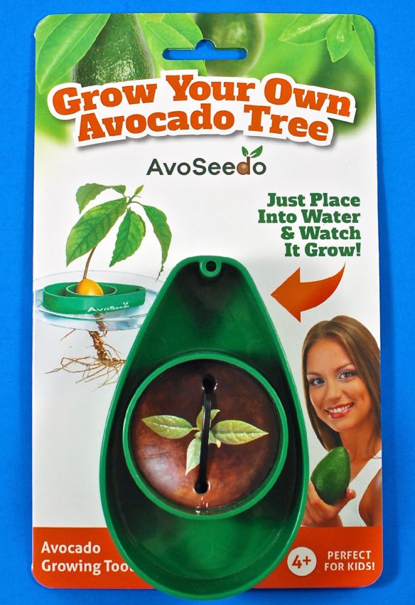 AvoSeedo