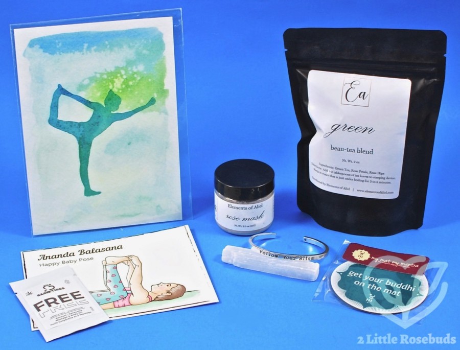 May 2017 Buddhibox review