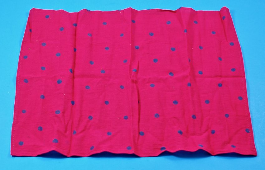 GlobeIn cloth napkin