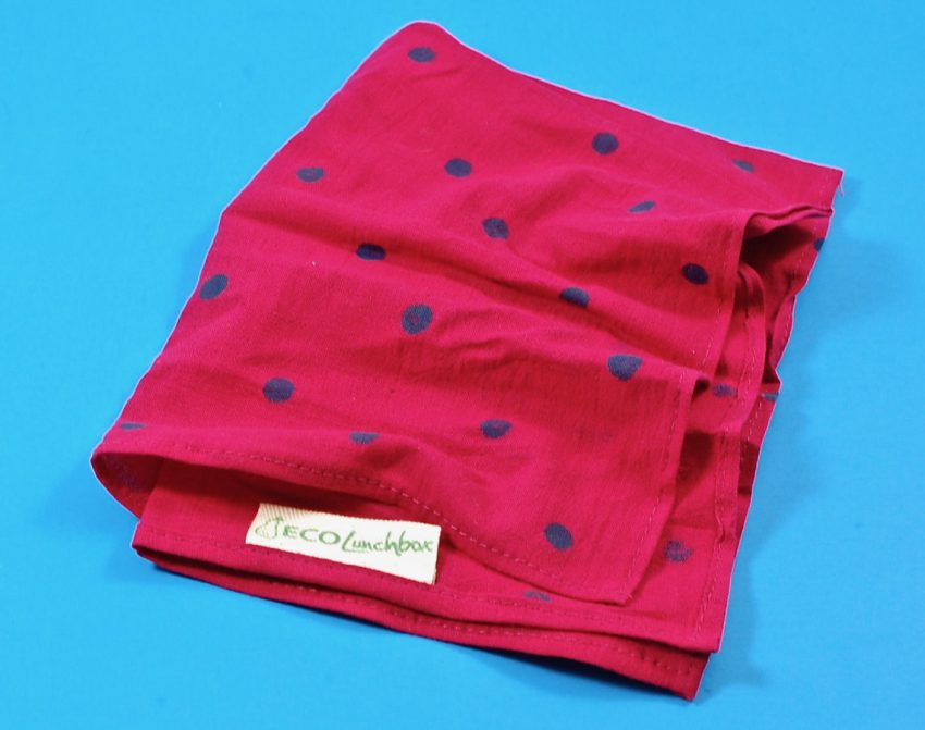 cloth napkin india