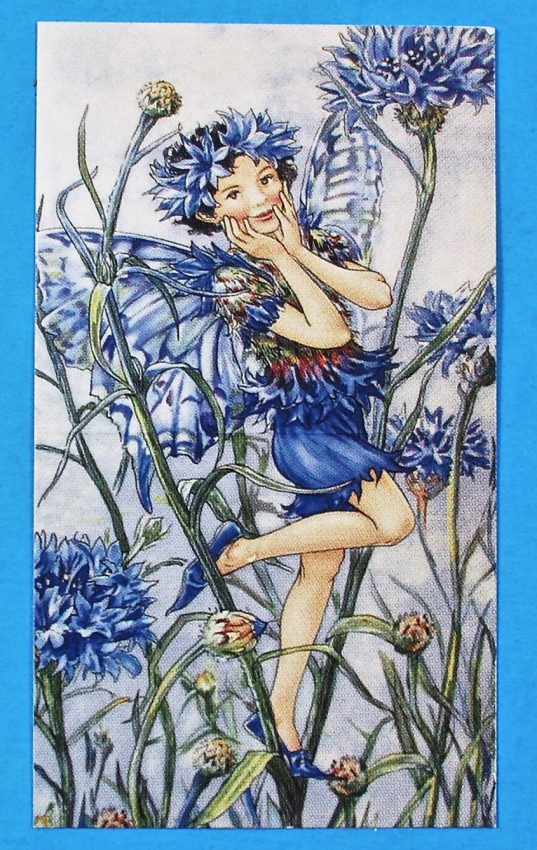 fairy card