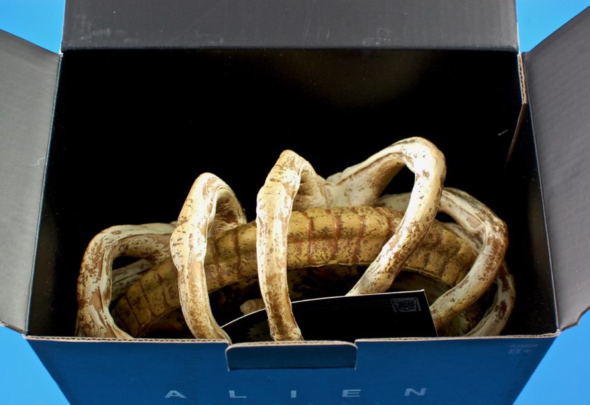 facehugger replica