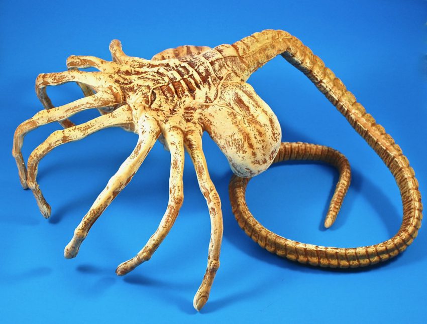 facehugger replica review
