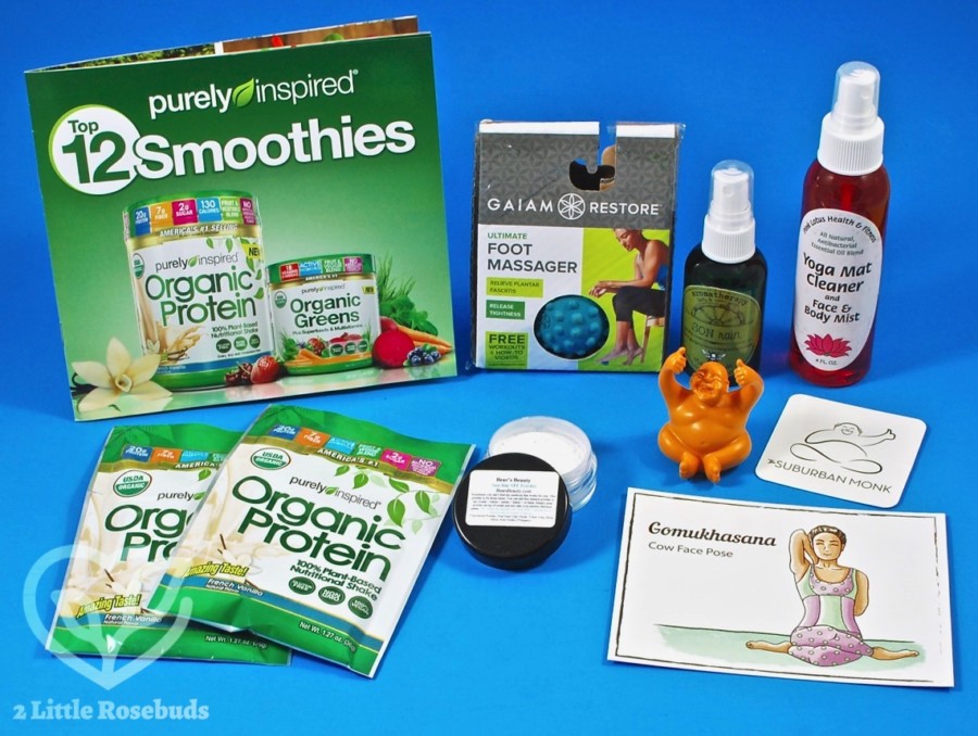 June 2017 BuddhiBox review