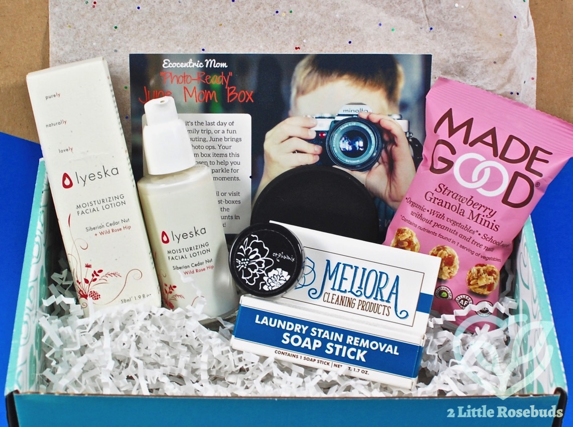 June 2017 Ecocentric Mom review