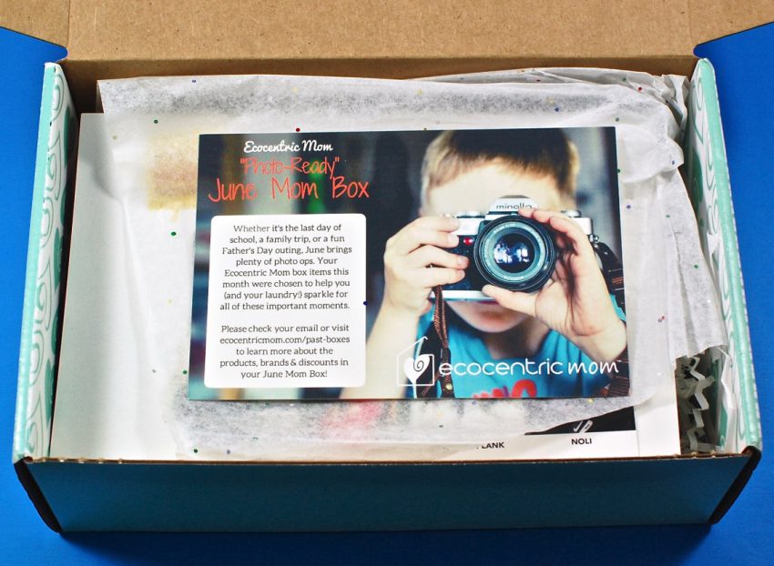 Ecocentric Mom review