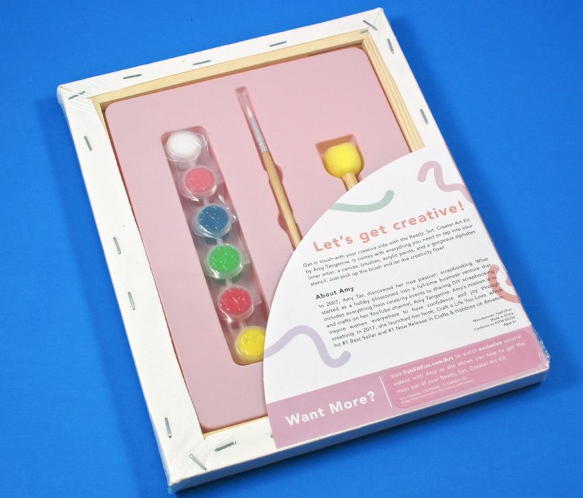 FabFitFun art kit