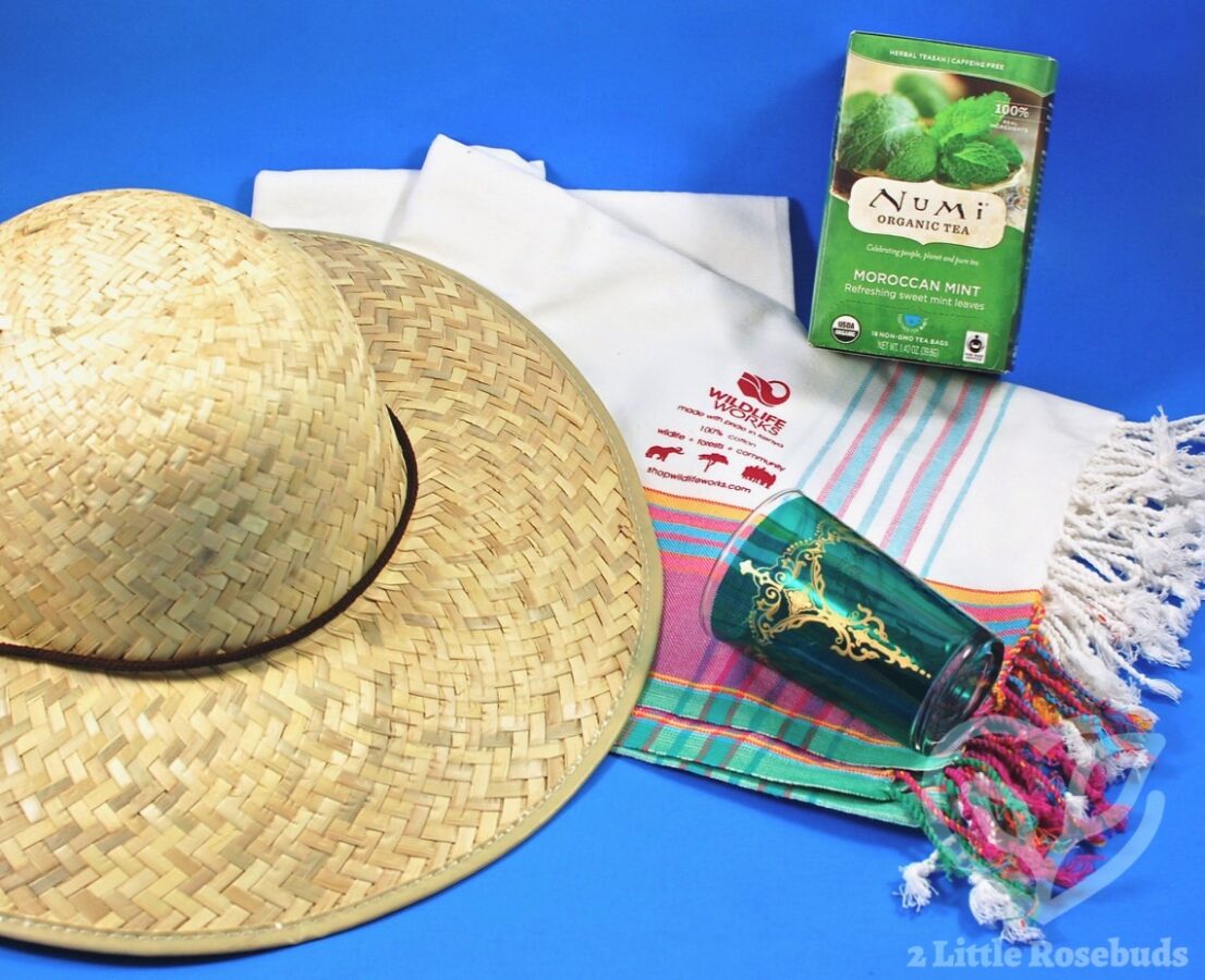 June 2017 GlobeIn review