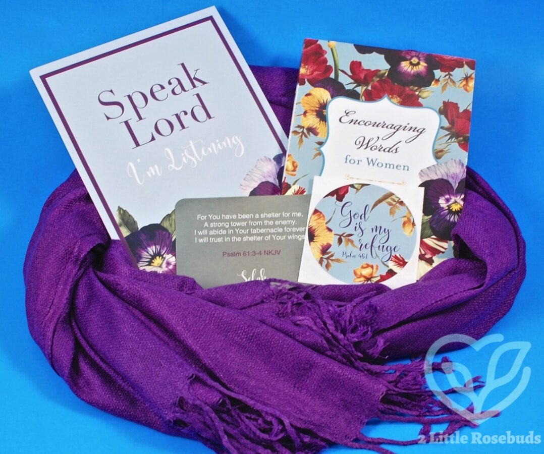 June 2017 Loved + Blessed review