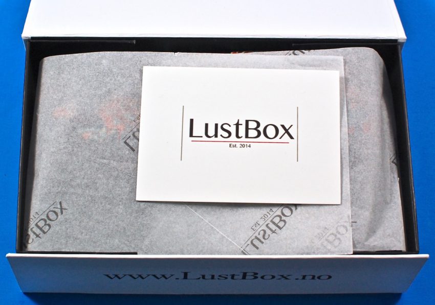 LustBox review