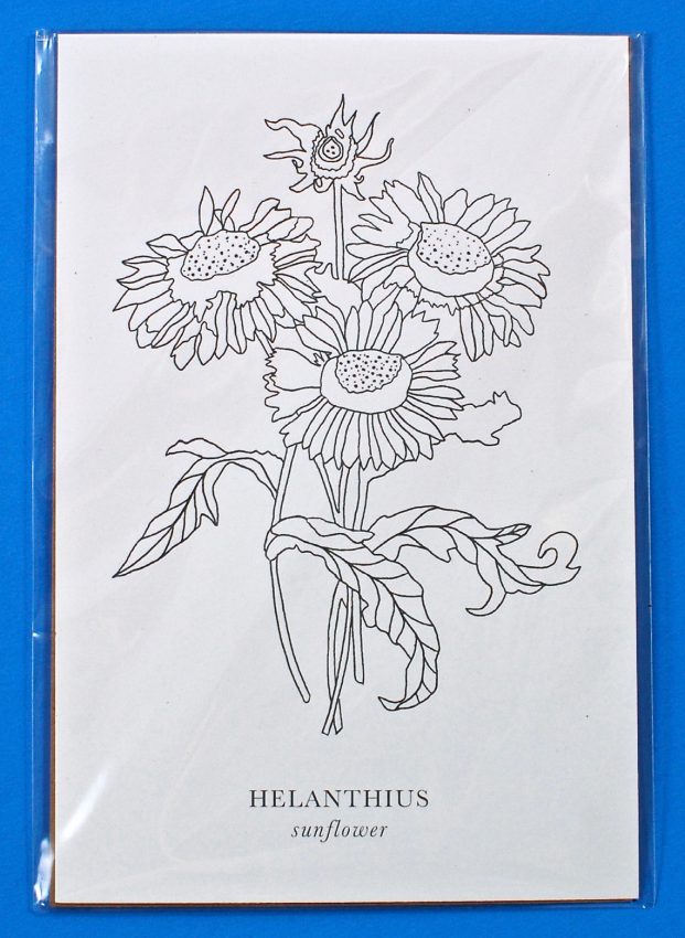 sunflower print